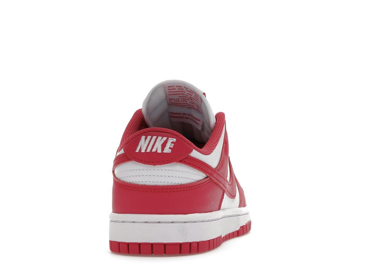 Nike Dunk Low Archeo Pink Women's DD1503-111 - savito