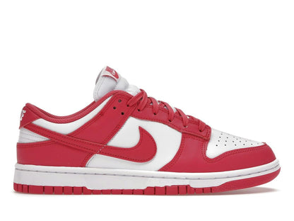 Nike Dunk Low Archeo Pink Women's DD1503-111 - savito