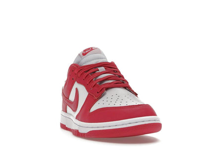 Nike Dunk Low Archeo Pink Women's DD1503-111 - savito